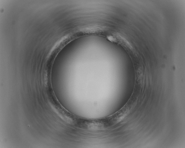 X0000073920400200609011814