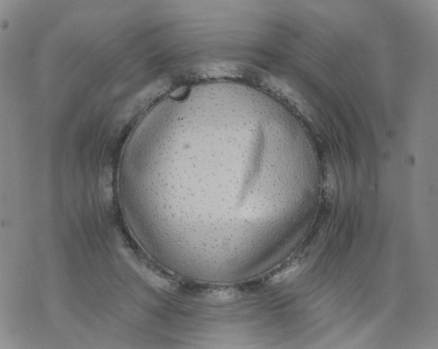 X0000073920402200609011814