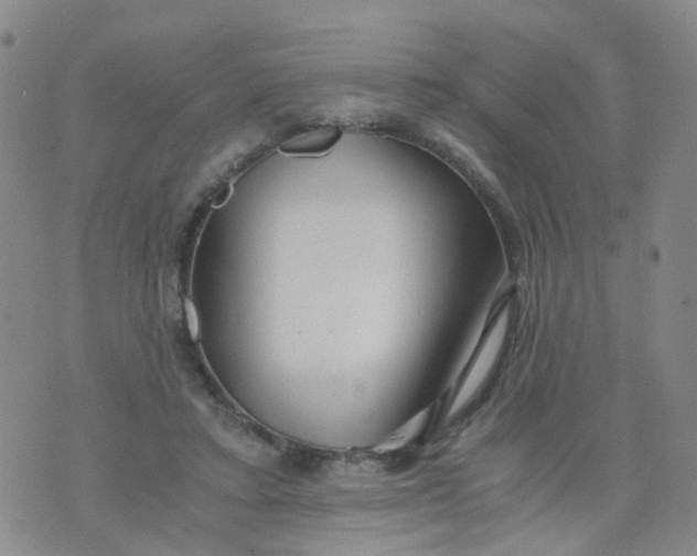 X0000073920403200609011814