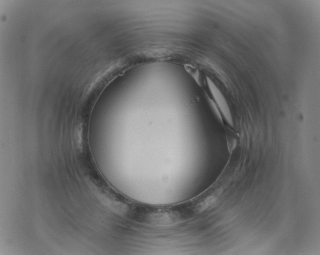 X0000073920404200609011814