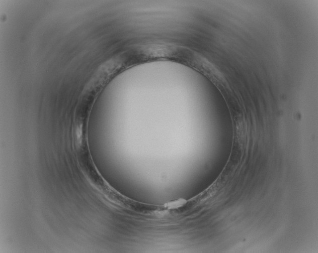 X0000073920406200609011814