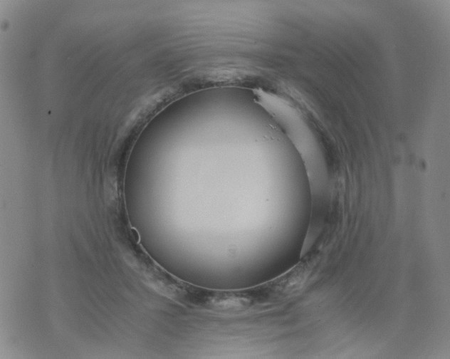 X0000073920407200609011814