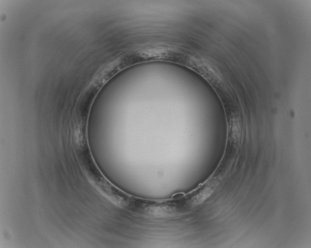 X0000073920408200609011814