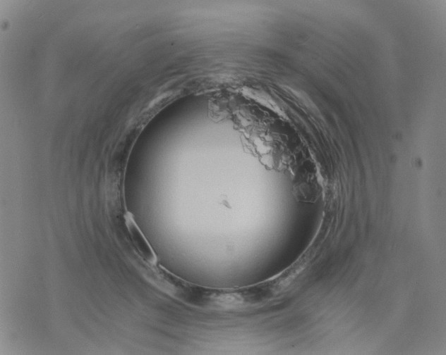 X0000073920409200609011814