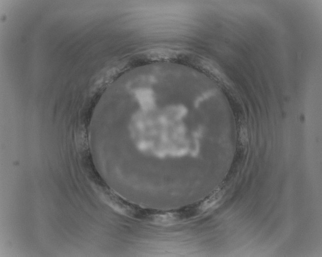 X0000073920411200609011814