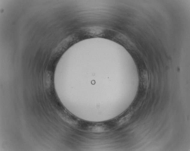 X0000073920412200609011814