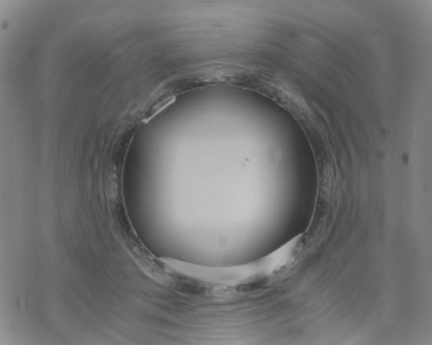 X0000073920413200609011814