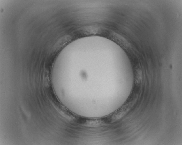 X0000073920414200609011814