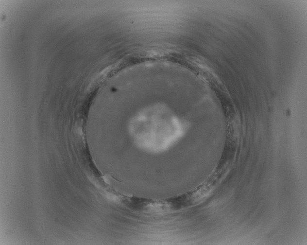 X0000073920415200609011814