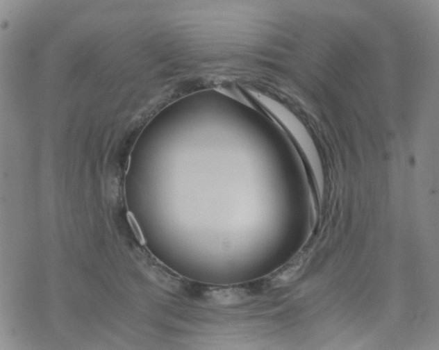 X0000073920417200609011814