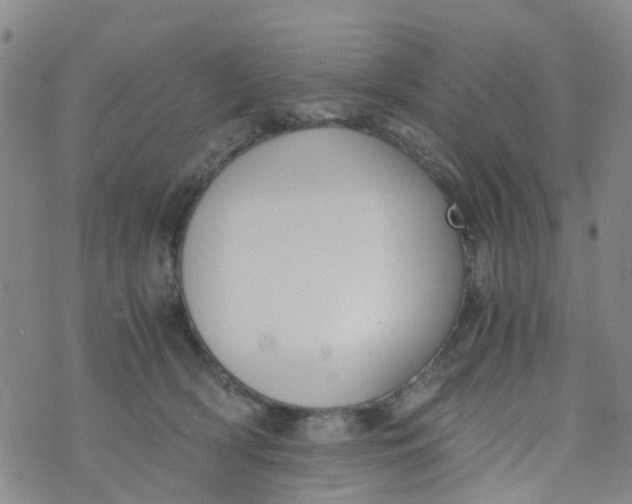 X0000073920418200609011814