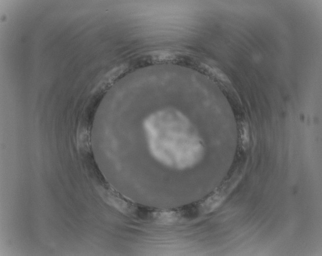 X0000073920419200609011814