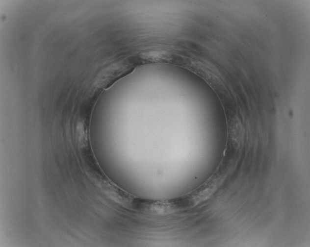 X0000073920420200609011814