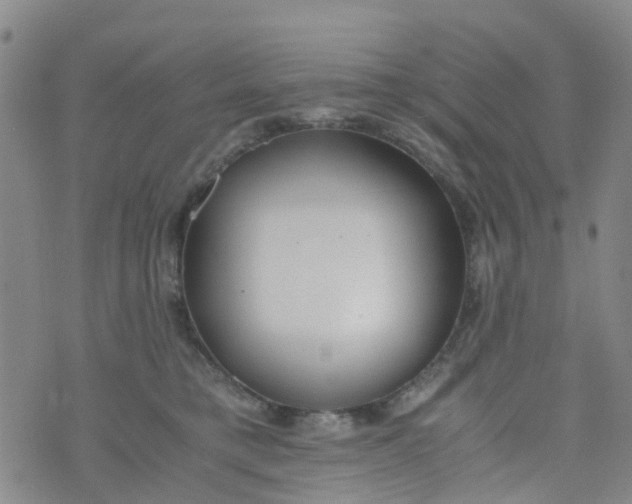 X0000073920421200609011814