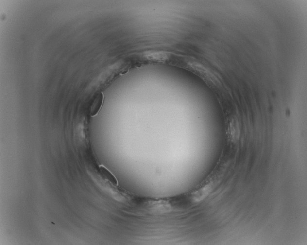 X0000073920424200609011814