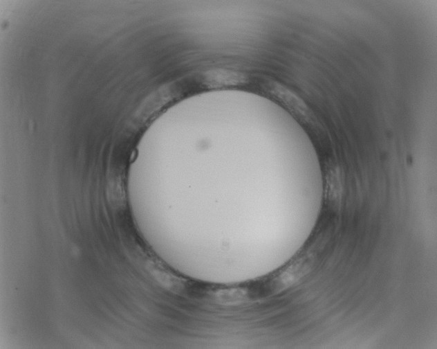 X0000073920426200609011814