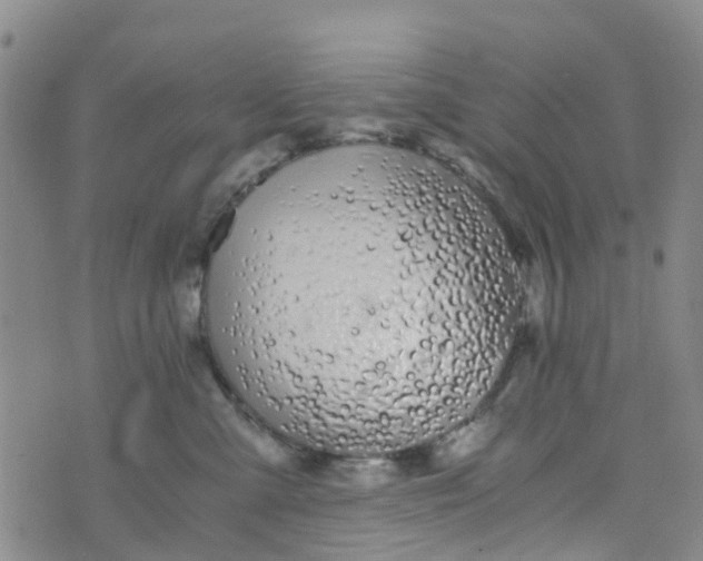 X0000073920427200609011814