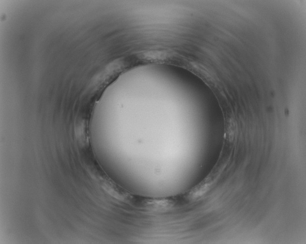 X0000073920428200609011814