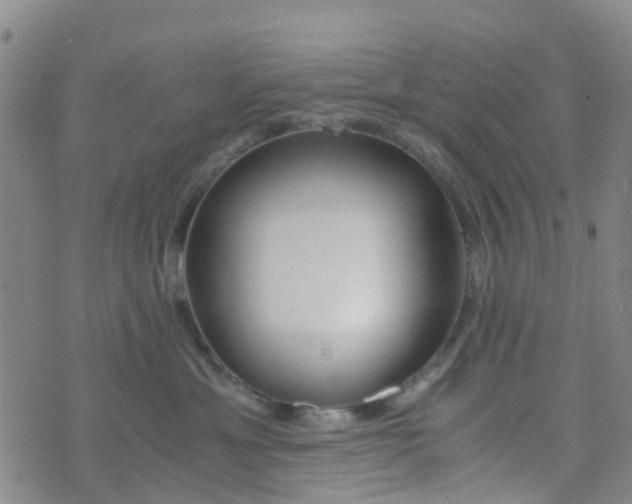 X0000073920429200609011814