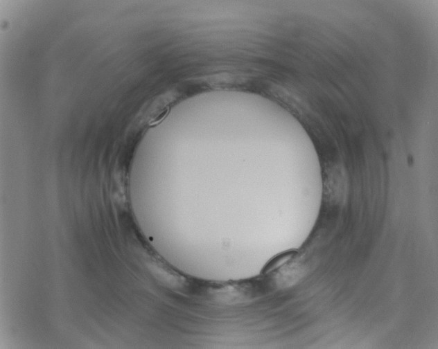 X0000073920430200609011814