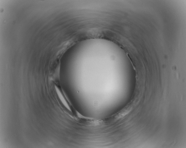 X0000073920432200609011814