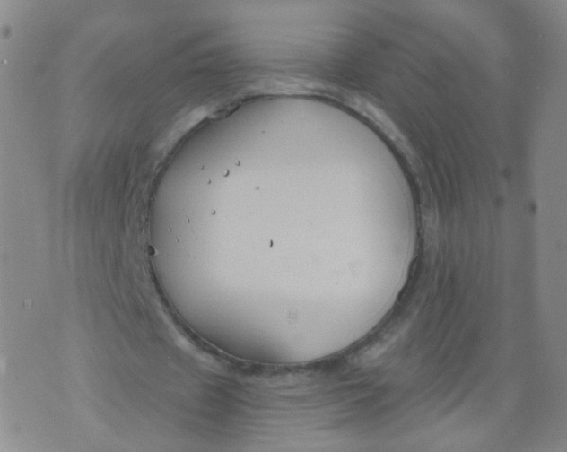 X0000073920433200609011813