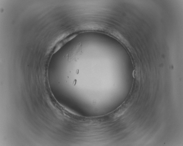 X0000073920434200609011813