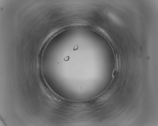 X0000073920435200609011813