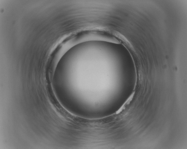 X0000073920436200609011813