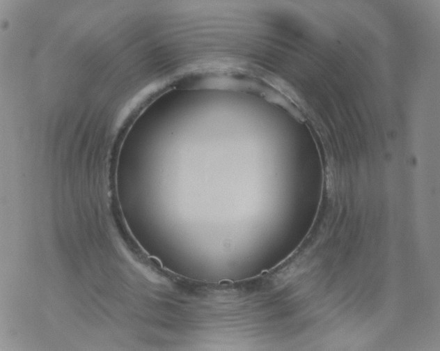 X0000073920438200609011813