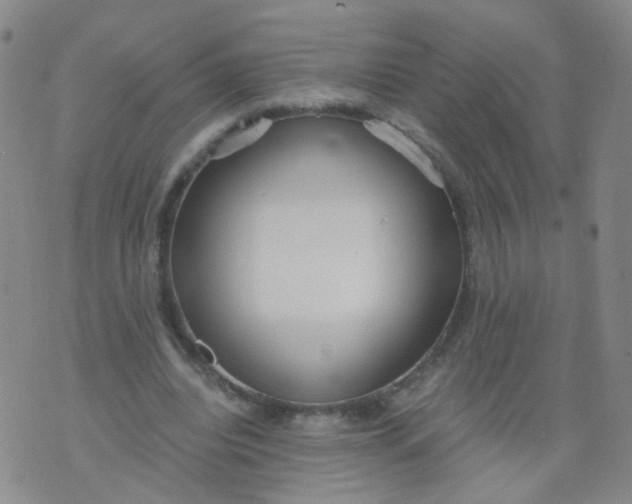 X0000073920440200609011813