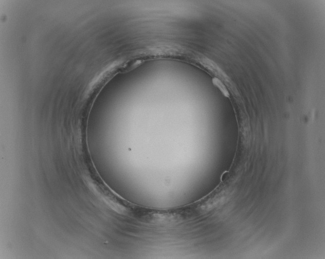 X0000073920442200609011813