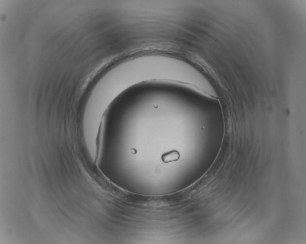 X0000073920444200609011813