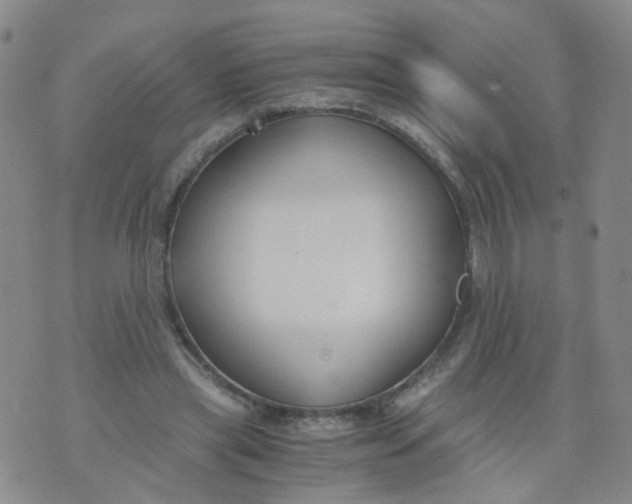 X0000073920445200609011813