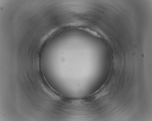 X0000073920446200609011813