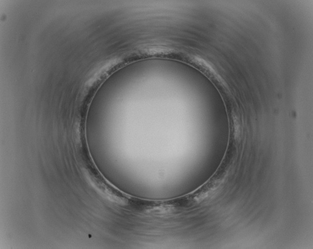 X0000073920447200609011813