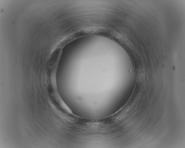 X0000073920448200609011813