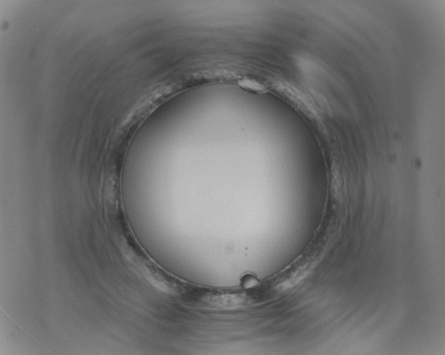 X0000073920449200609011813