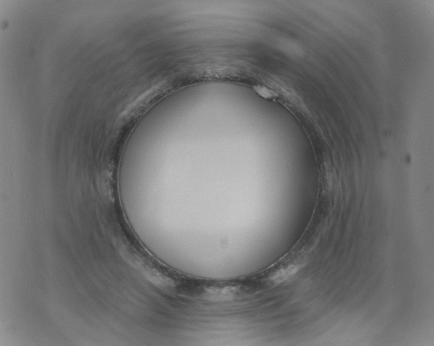 X0000073920450200609011813