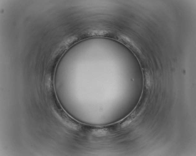 X0000073920451200609011813