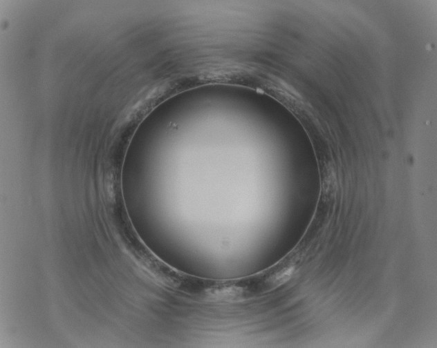 X0000073920452200609011813