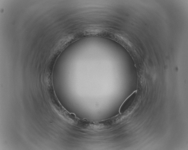 X0000073920455200609011813