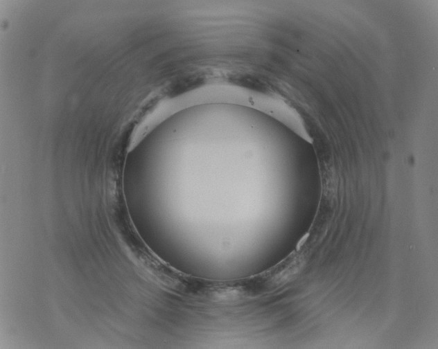 X0000073920456200609011813