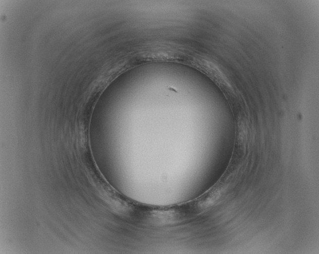 X0000073920457200609011813