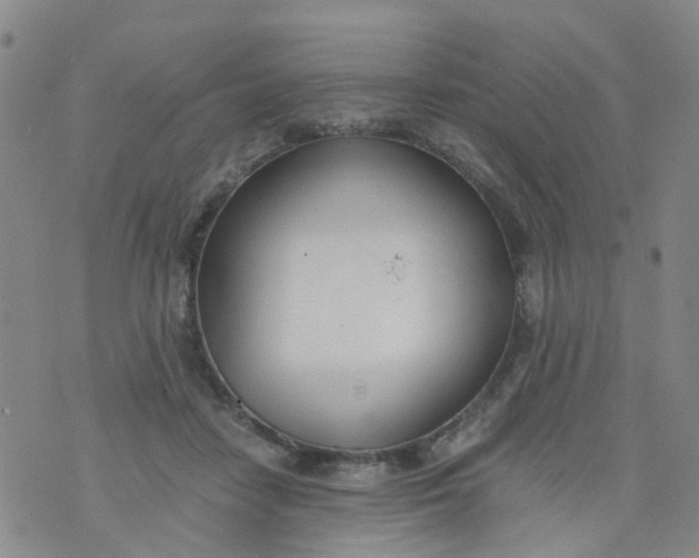 X0000073920458200609011813