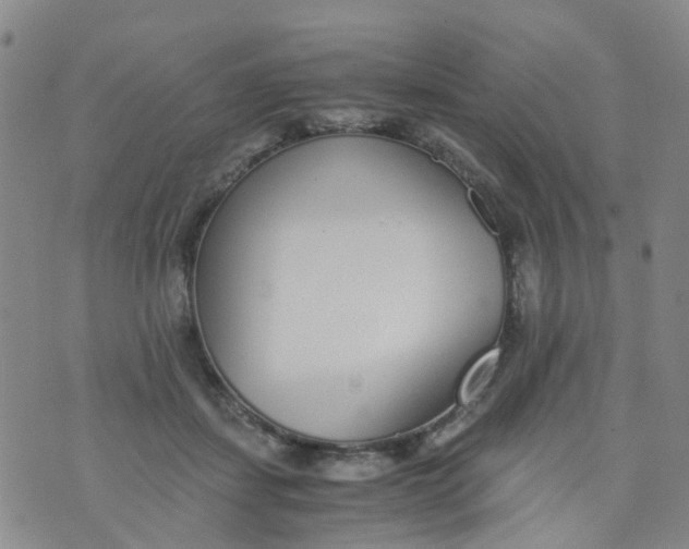 X0000073920459200609011813