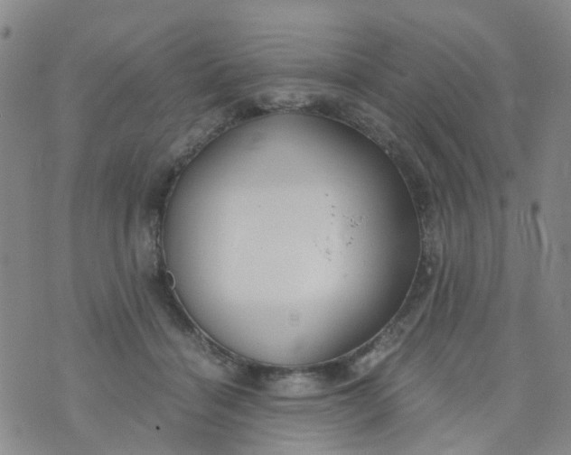 X0000073920460200609011813