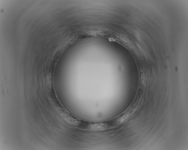 X0000073920461200609011813