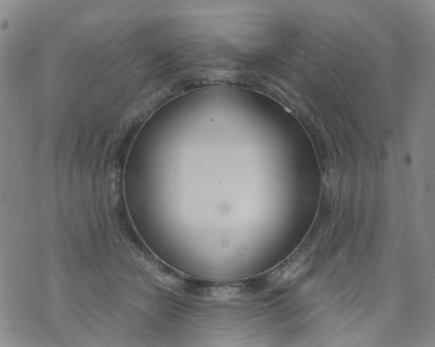 X0000073920462200609011813