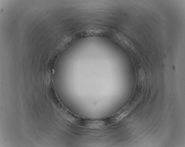 X0000073920463200609011813